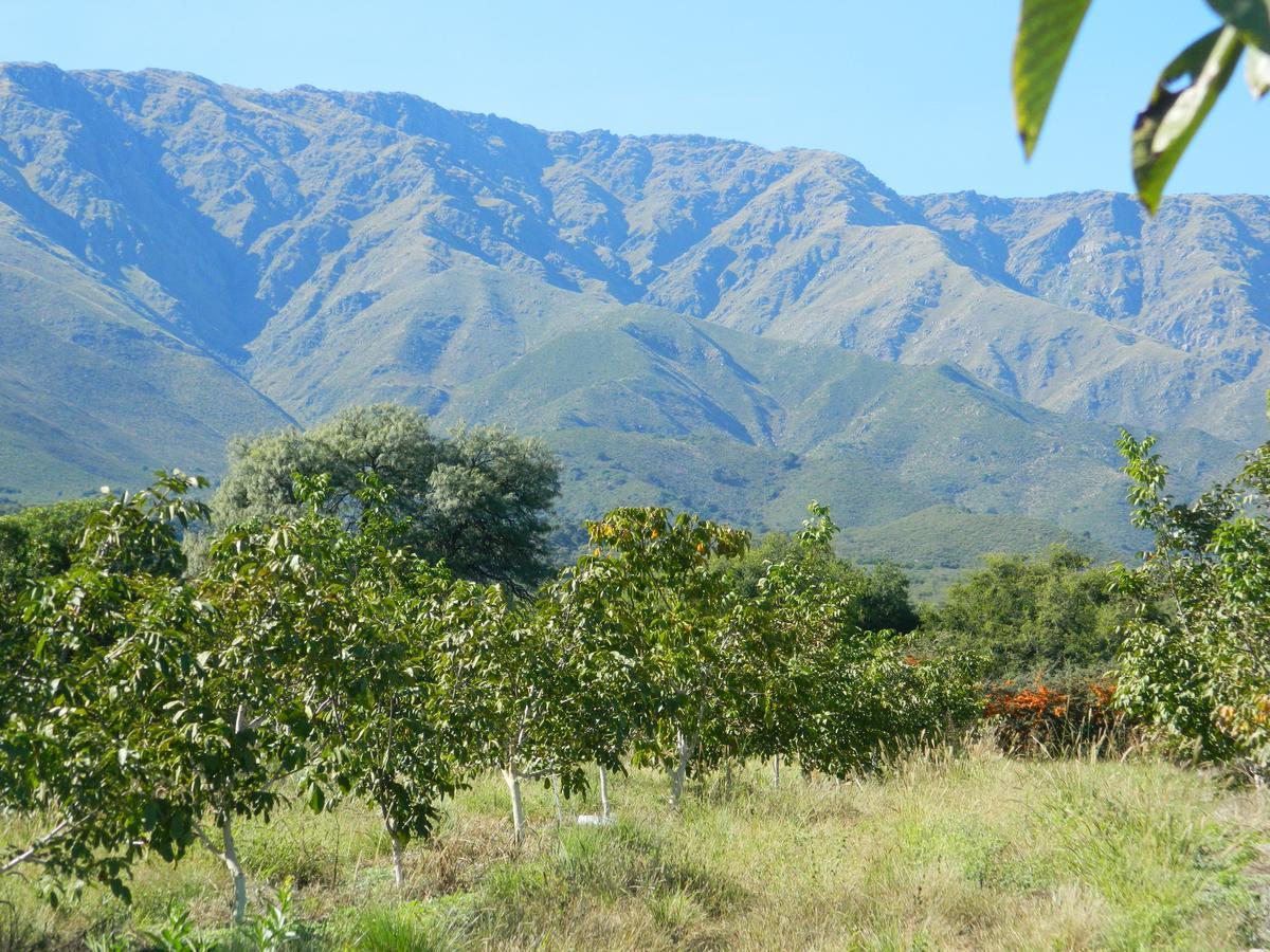 Finca La Julia Luyaba 외부 사진